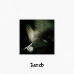cover: Lunch Money Life - The Murk