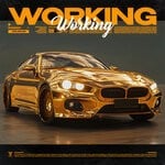 cover: RUSAKOV - WORKING