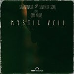 cover: SHAN NASH|SEVENTH SOUL|Cem Yildiz - Mystic Veil