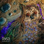 cover: Owls - Ricercar