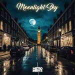 cover: Metro Beatz - Moonlight Sky