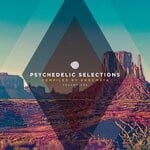cover: Various - Psychedelic Selections, Vol 006 (Compiled By Khromata)