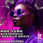 cover: Moe Turk - Systematic (Deep Lo Remix)