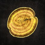 item 7069434