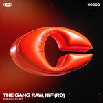 cover: NIF (RO)|The Gang Raw - Brighter Day
