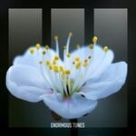 cover: Helvetic Nerds - Nightingale