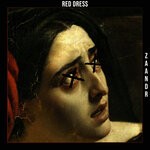 cover: Zaandr - Red Dress