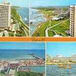 item 7117981