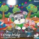 cover: Various - Tracks Selected By Drillers Vol I