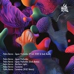 cover: Pedro Barros - Aguas Profundas Incl. R107 & Gudj Remix