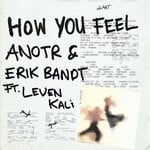 cover: ANOTR|Erik Bandt|Leven Kali - How You Feel