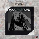 cover: Ripawild|Symflo - Roughest Life