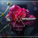 cover: Monika Kiss|Andrea Falcetelli - Lost In Music 2k25