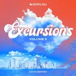 cover: Various - Excursions: Vol III (Miami)