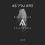 cover: Blugazer - Feathers