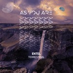 cover: Entel - Terrestrial