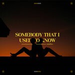 cover: meridian. - Somebody That I Used To Know