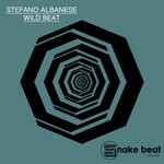 cover: Stefano Albanese - Wild Beat