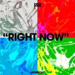 cover: FILIPPO VIAN|MICHELE LOPARDO|Oxlay|YURI M. - Right Now