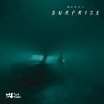 cover: MENDA - Surprise