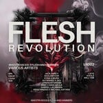 cover: Various - Maestri Ascesi X Flesh And Hammers - Flesh Revolution VA