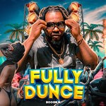 cover: Boogie B - Fully Dunce