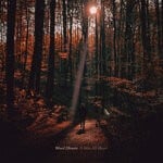 cover: Ward Dhoore - It Was All Heart