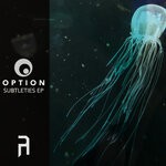 cover: Option - Subtleties