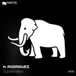 cover: M. Rodriguez - Trybalzination