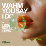 cover: Luca Saporito|WAHM (FR) - You Say I Do