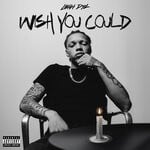 cover: Luhh Dyl - Wish You Could (Explicit)