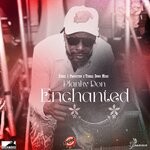 cover: Planky Don - Enchanted