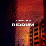 cover: Audio K9 - Riddum (Extended Mix)