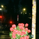 item 7192883