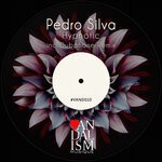 cover: Pedro Silva - Hypnotic