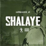 cover: Coldhearted_sl - Shalaye (Explicit)