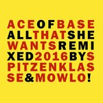 cover: Ace of Base - All That She Wants (Remixes 2016)