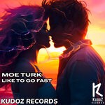 cover: Moe Turk - Like To Go Fast