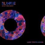 cover: Blinkie - What You Want (Low Steppa Remix)
