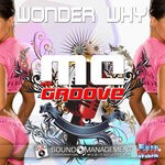 cover: MC Groove - Wonder Why