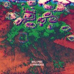 cover: Rali Pibs - U Paradise