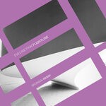 cover: Eveline Fink - Flightline