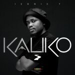 cover: Isonic T - Kaliko