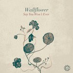 cover: Wallflower - Say You Won't Ever