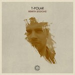cover: Various - Rebirth Sessions - T-Polar