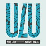 cover: Major Spirit - The Life We Love