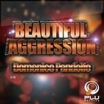 cover: Domenico Pandolfo - Beautiful Aggression