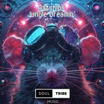 cover: ratships - Jungle Dreamin