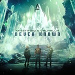 cover: Misstified|Valhalla - Never Known