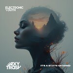 cover: Electronic Youth - It's A State Of Mind